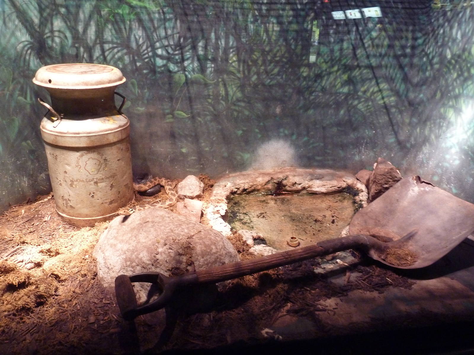 Reptile House - Black Rat Snake Exhibit
