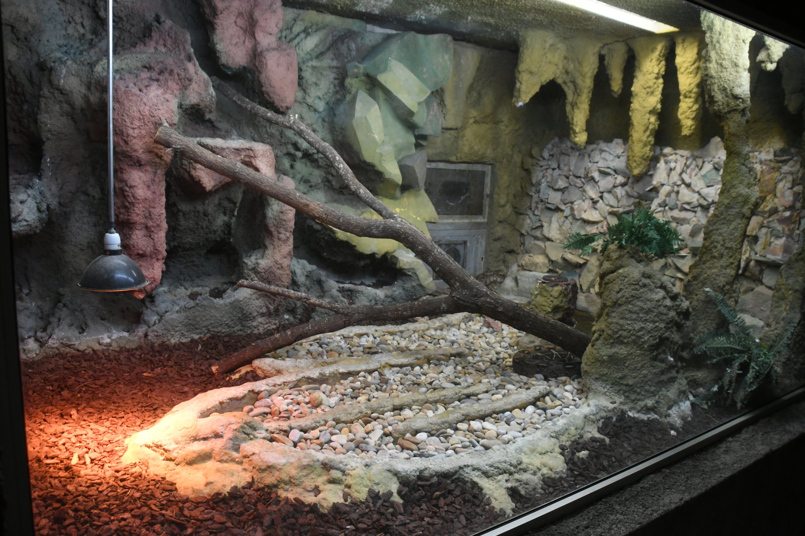 Reptile House (Boa Constrictor exhibit)