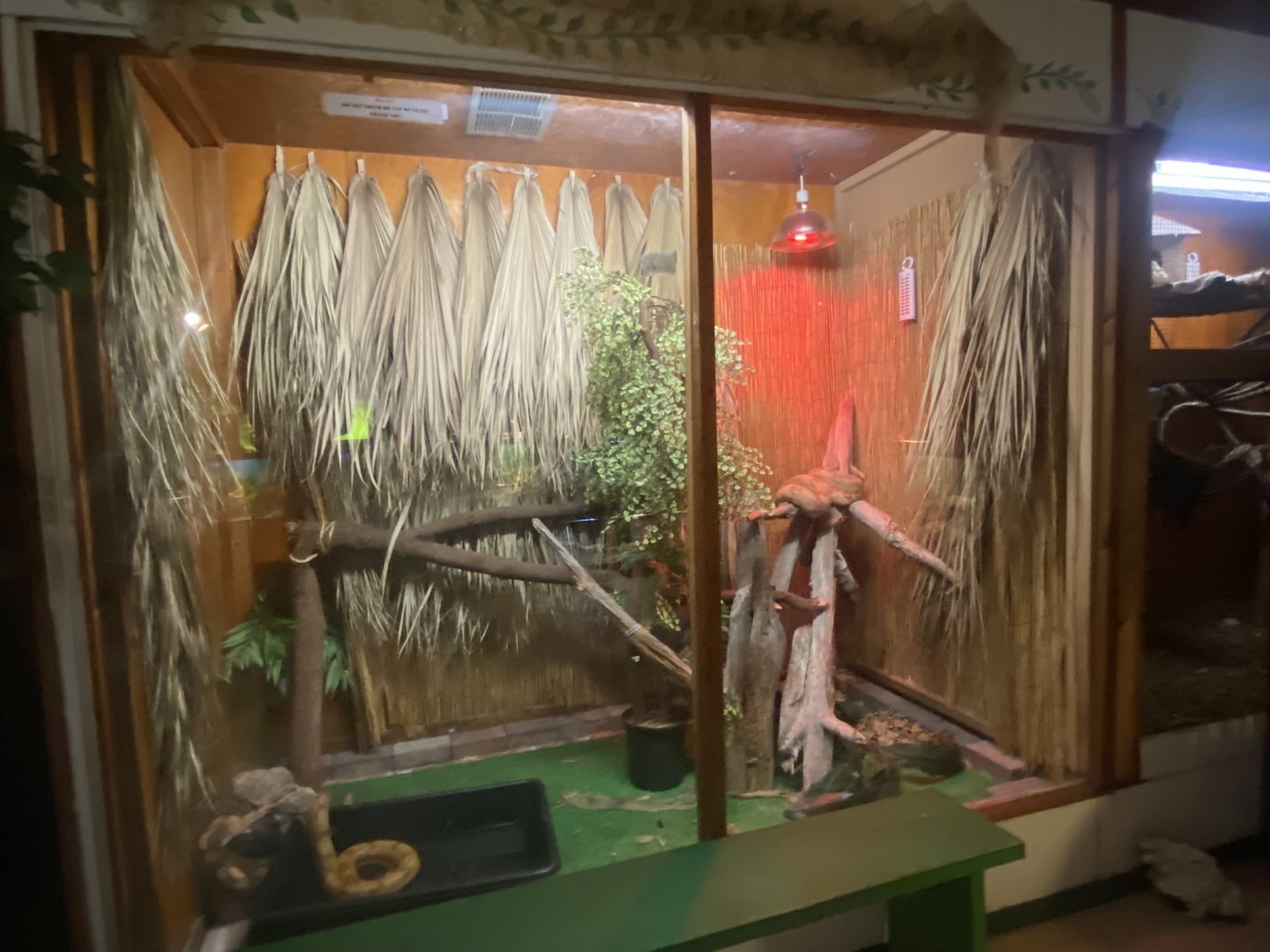 Reptile House - Boa Constrictor Terrarium