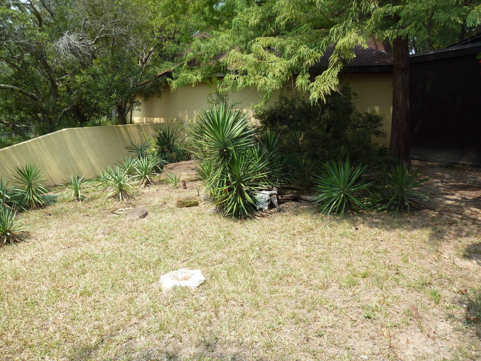Reptile House - Box Turtle/Gopher Tortoise Exhibit