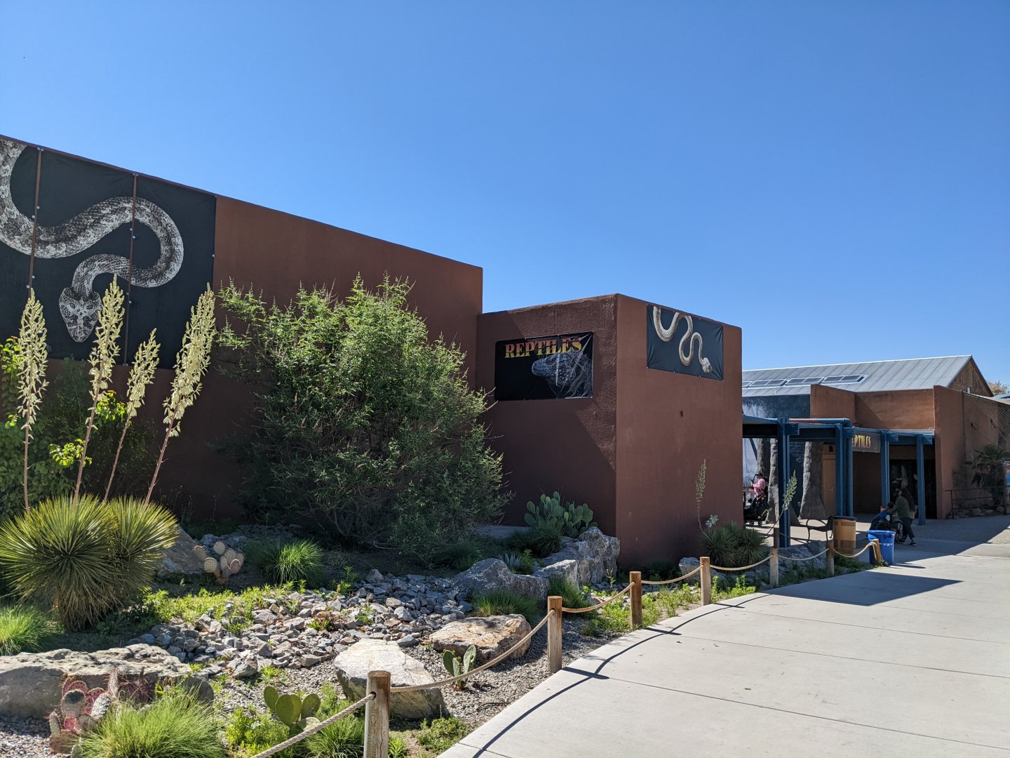 Reptile house building