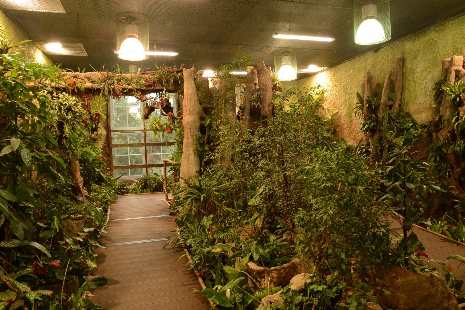 Reptile house - butterfly walkthrough