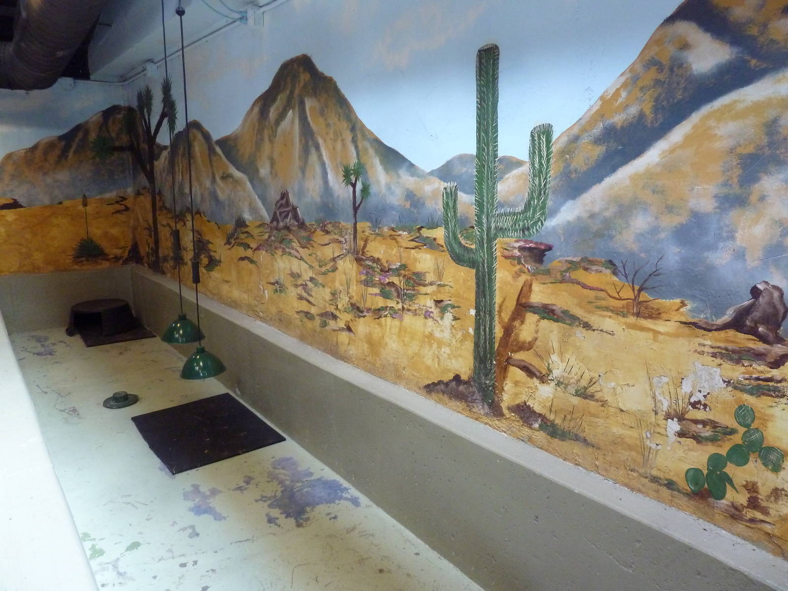 Reptile House - California Desert Tortoise Indoor Exhibit