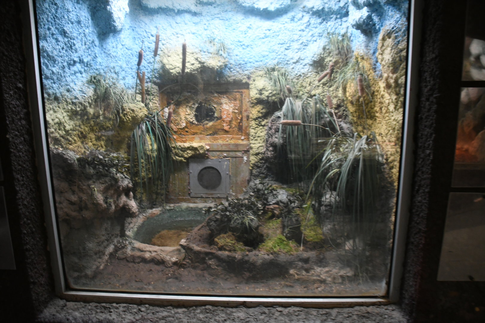 Reptile House (Cane Toad exhibit)