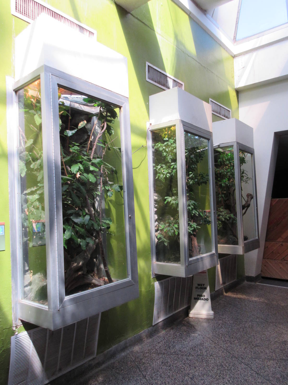 Reptile House - Chameleon Exhibits (3 Species)