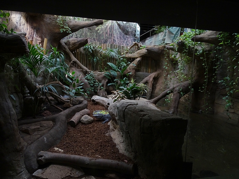 Reptile house - Chinese Alligator Enclosure 2