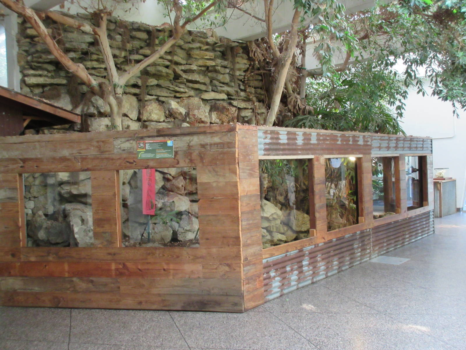 Reptile House - Chinese Alligator Exhibit