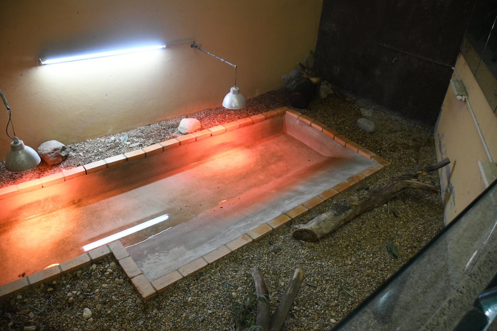 Reptile House (Common Snapping Turtle Exhibit)