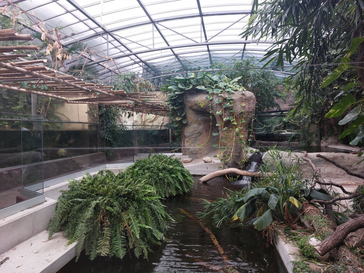 Reptile house - Crocodile hall
