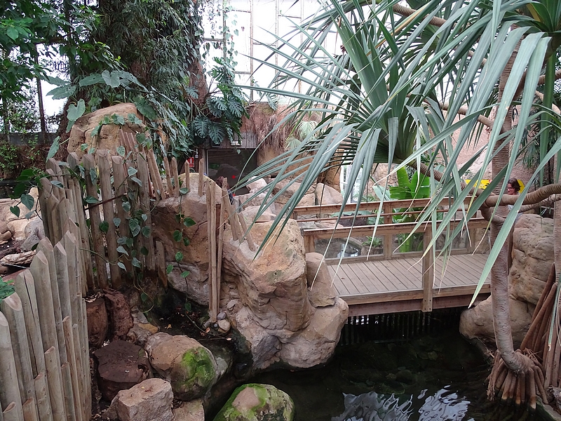 Reptile house - Crocodile part of the house