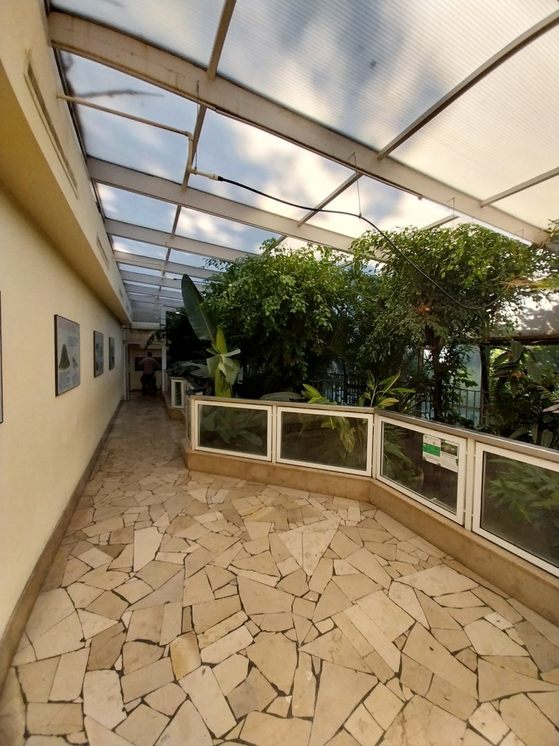 Reptile house - Crocodile wing