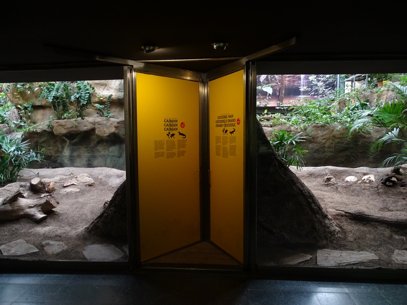 Reptile house crocodilian enclosures