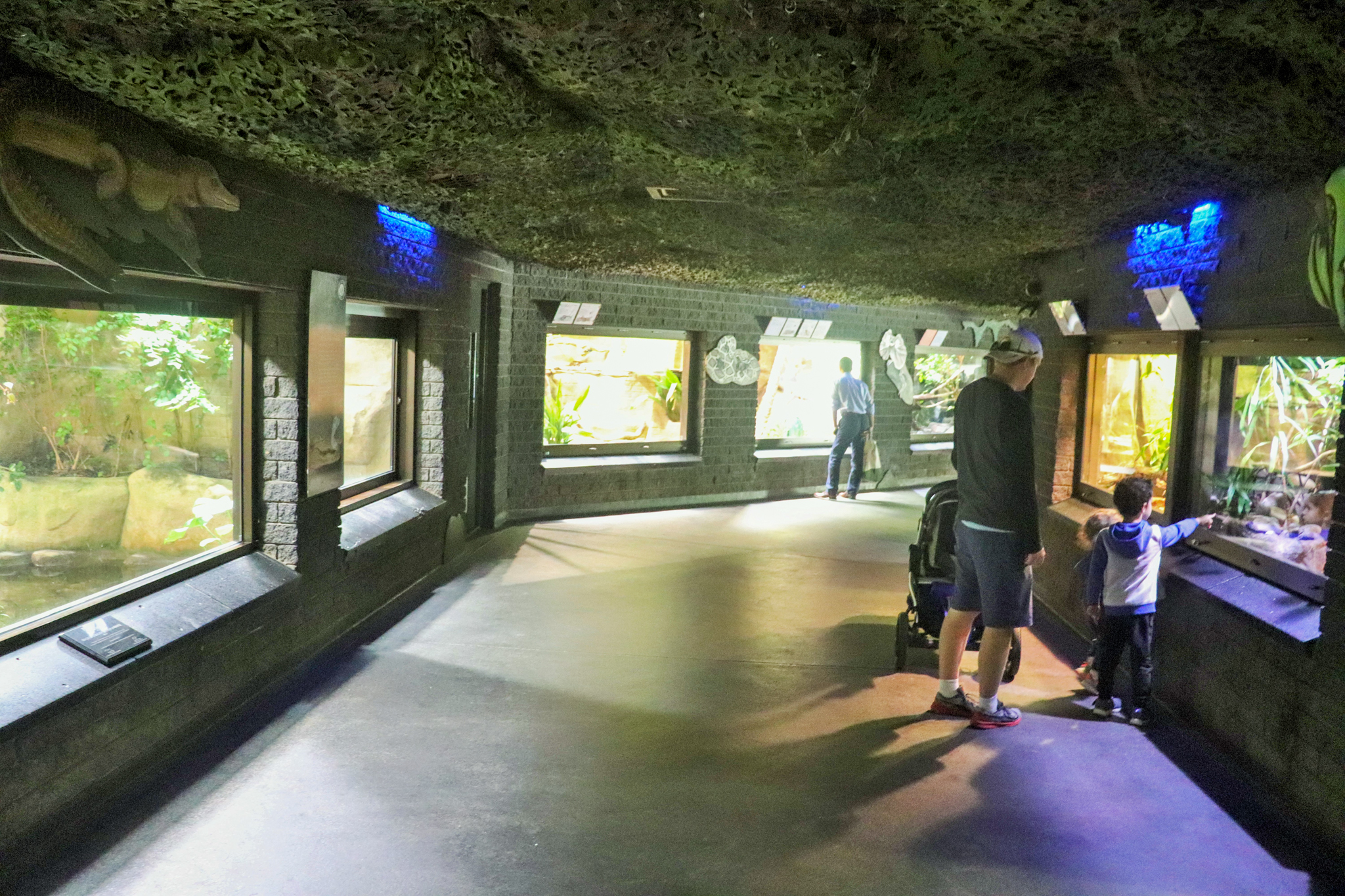 Reptile House - December 2018