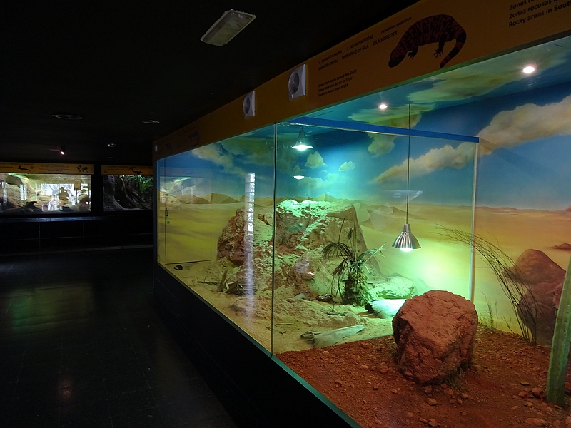 Reptile House - Desert enclosures