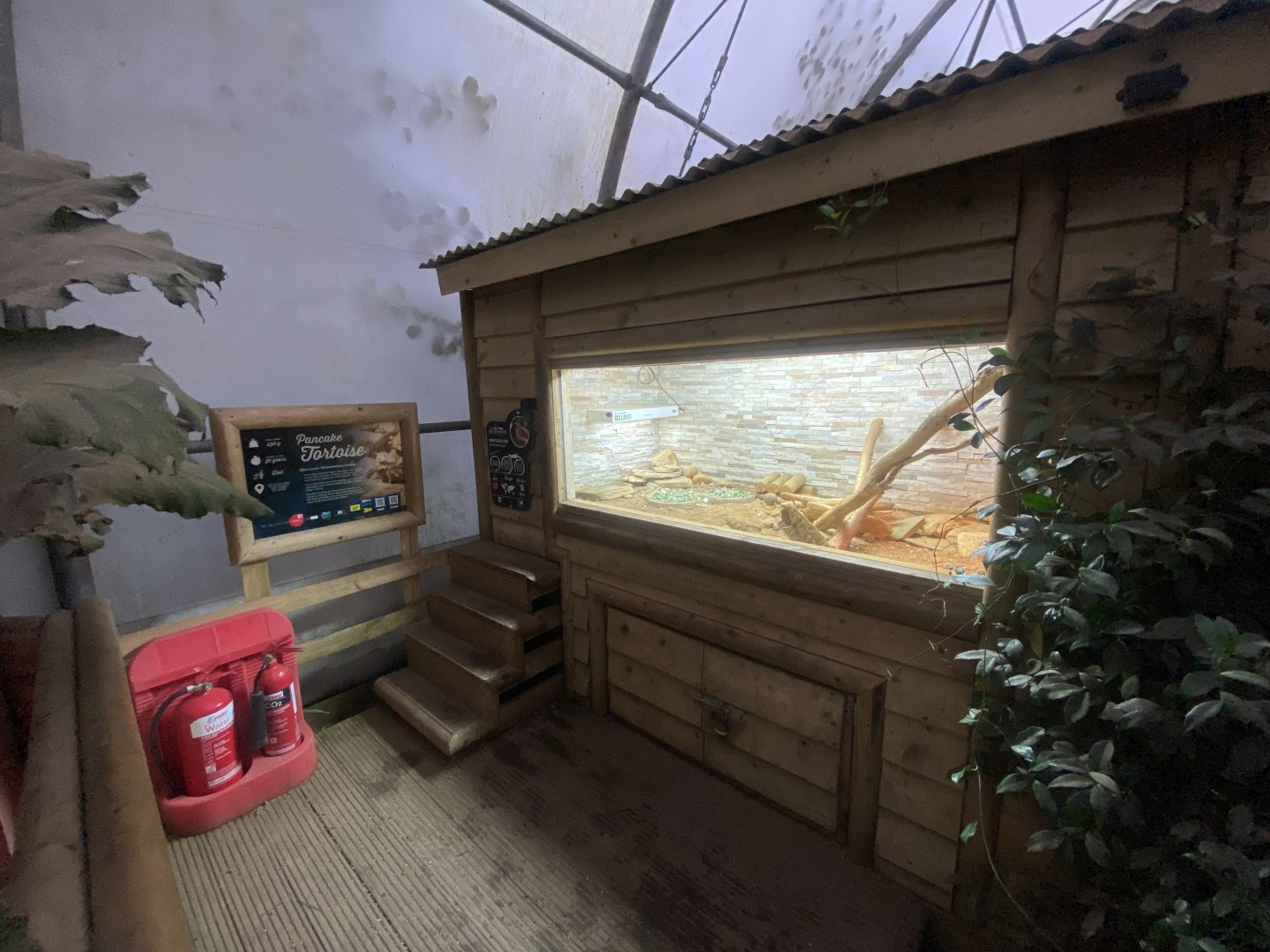 Reptile House - Desert exhibit 130925