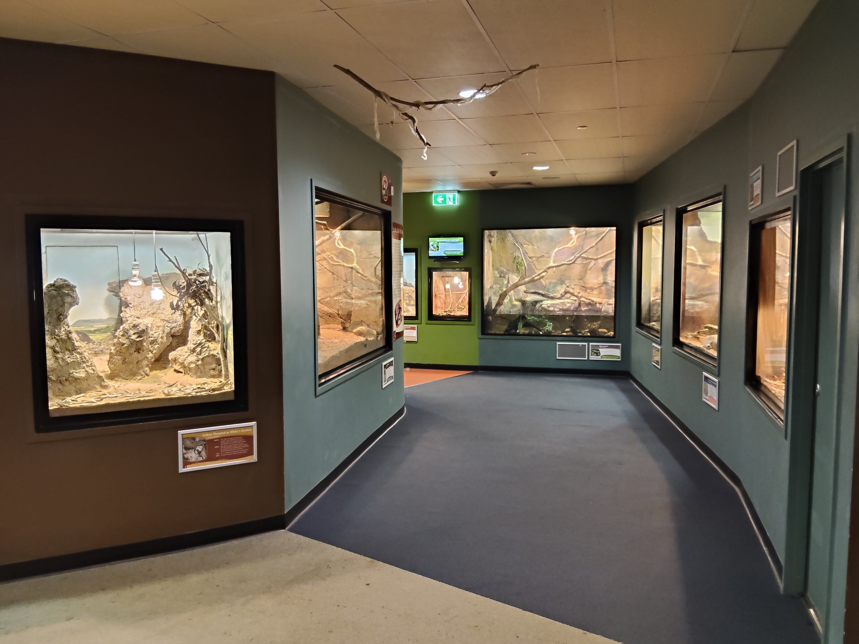 Reptile House (diurnal)