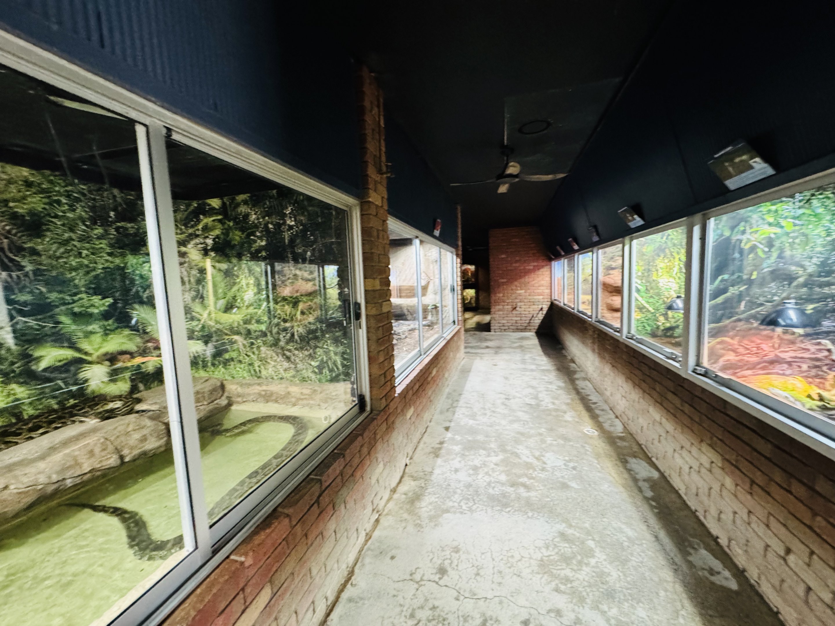 Reptile house entrance corridor