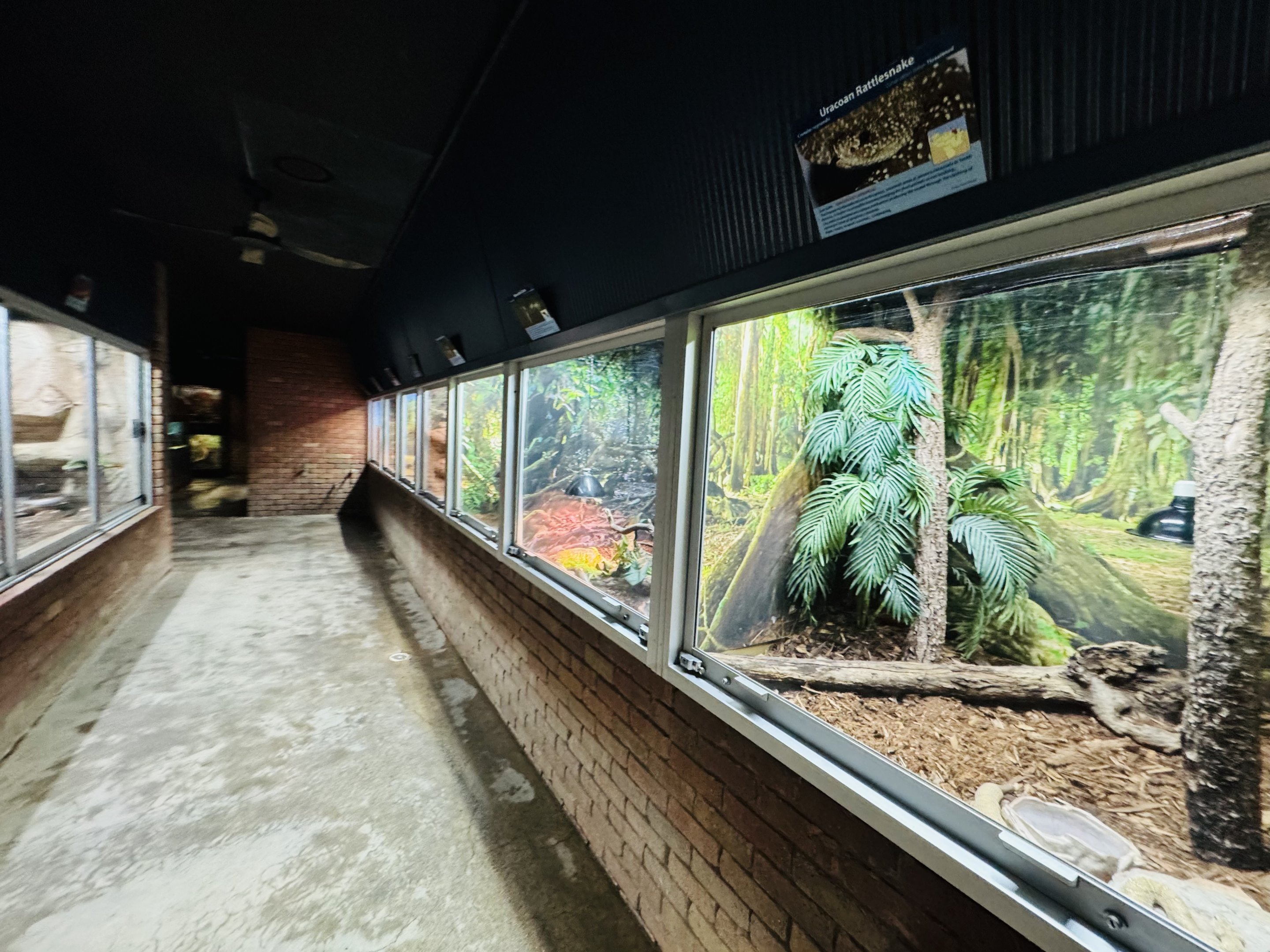 Reptile house - entrance snakes