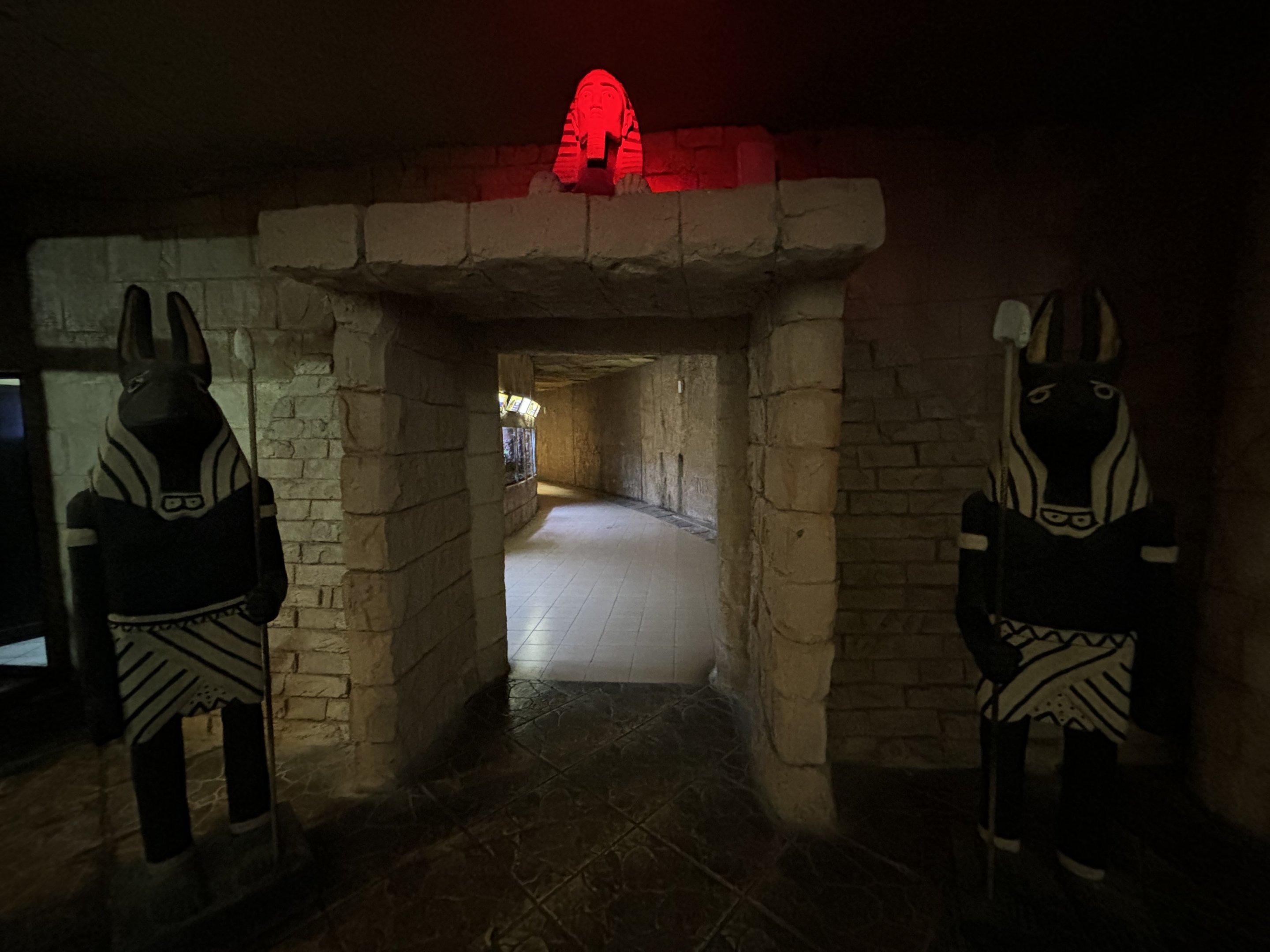 Reptile House Entrance Zone