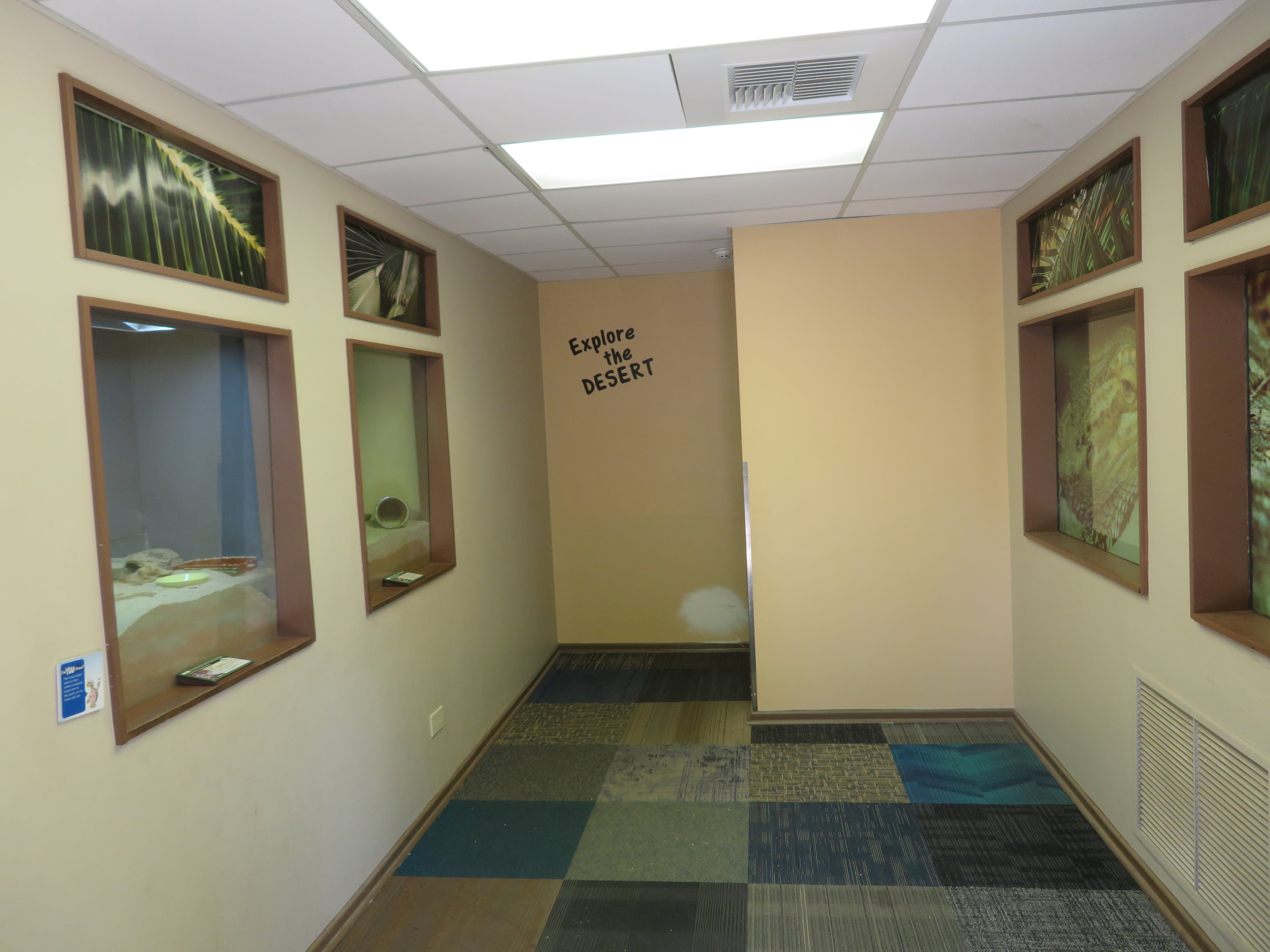 Reptile House (Entry Room)