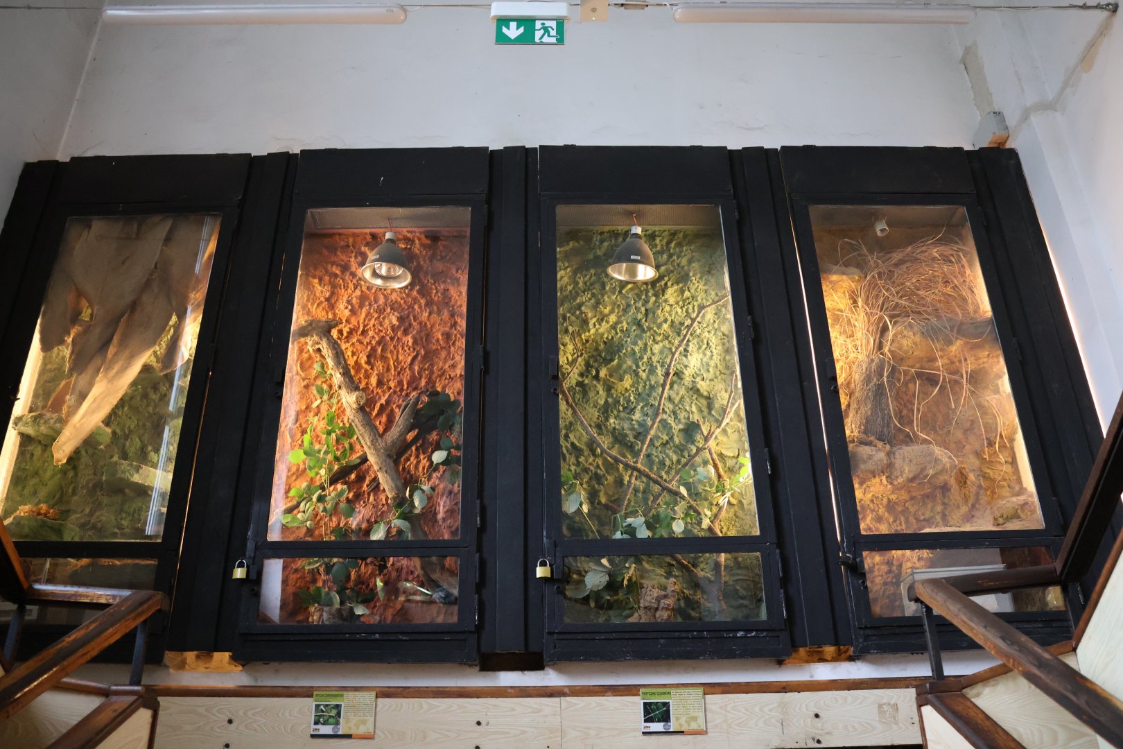 Reptile House - Even the stairwell is filled with terrariums
