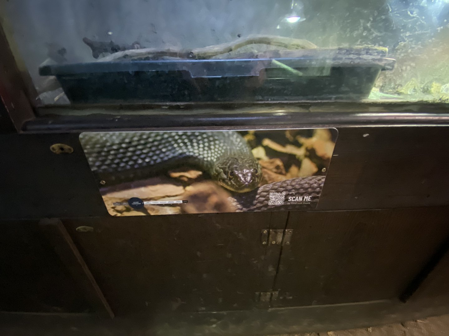 Reptile House exhibit 030924