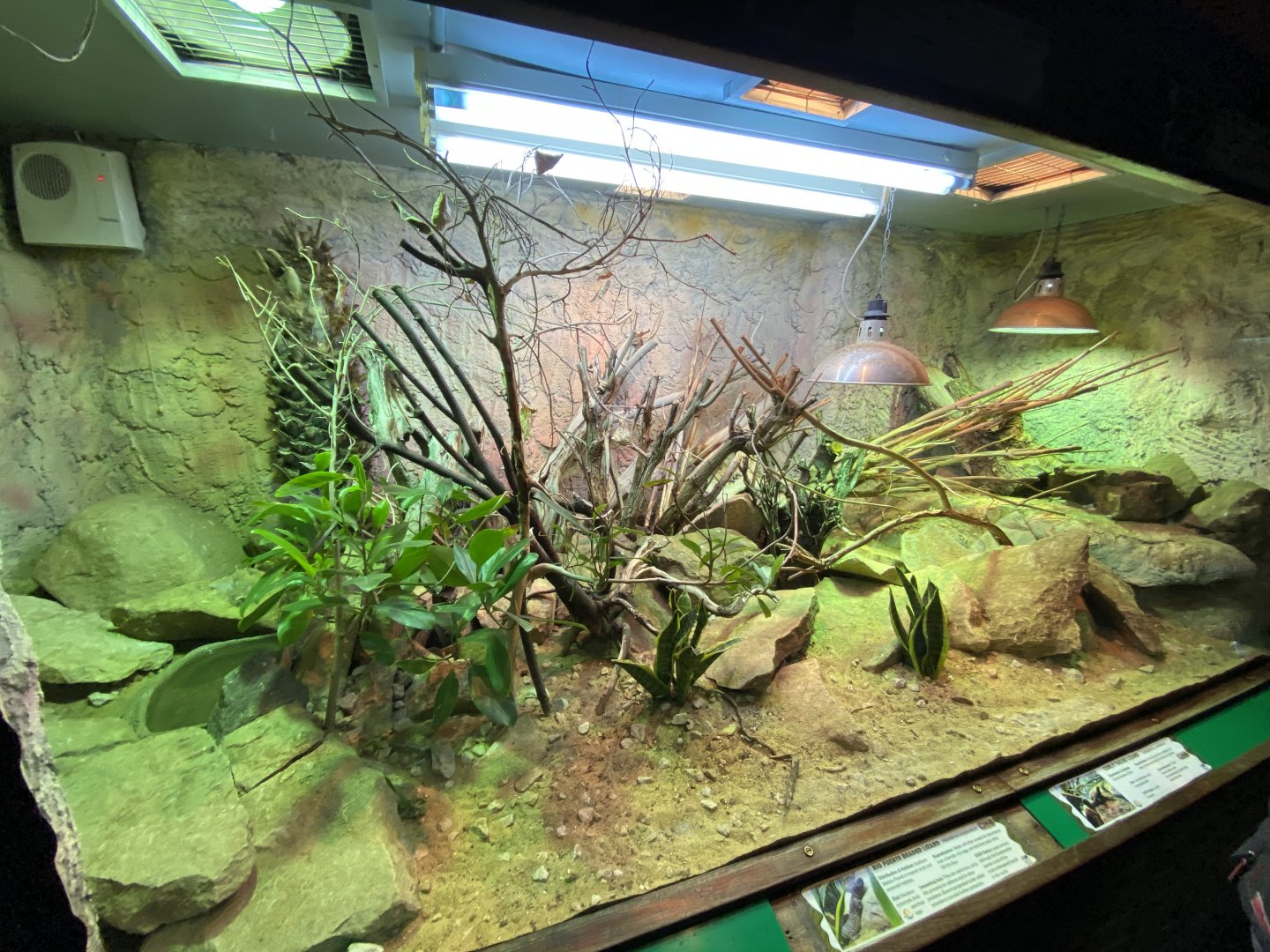 Reptile House exhibit 150220