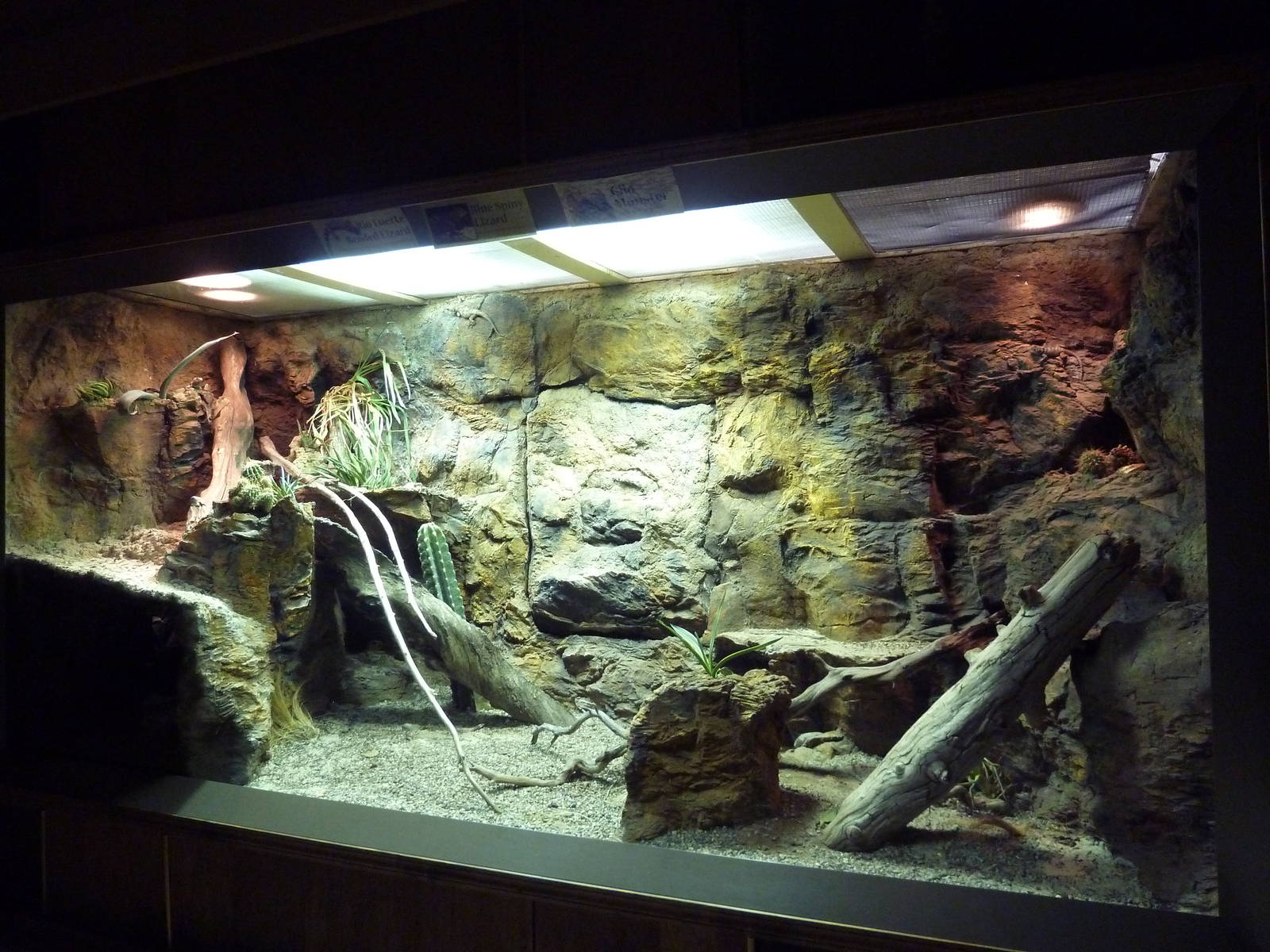 Reptile House Exhibit (3 Species)