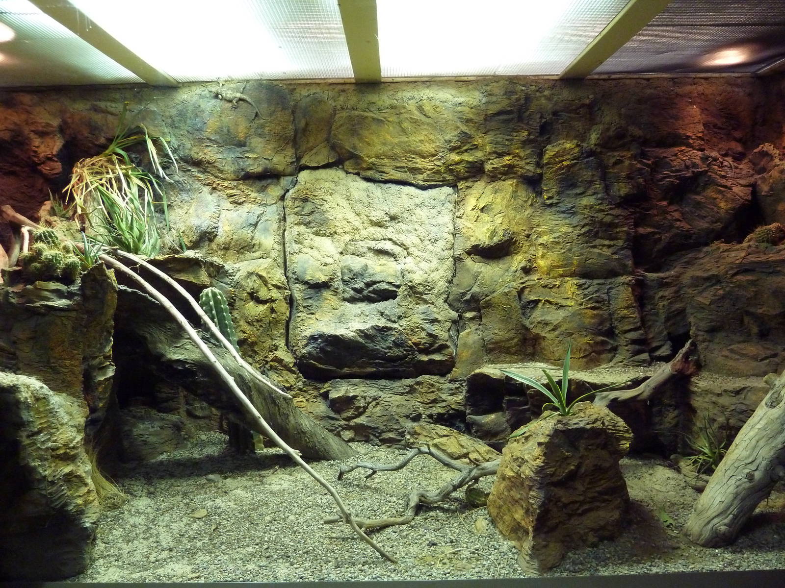 Reptile House Exhibit (3 Species)