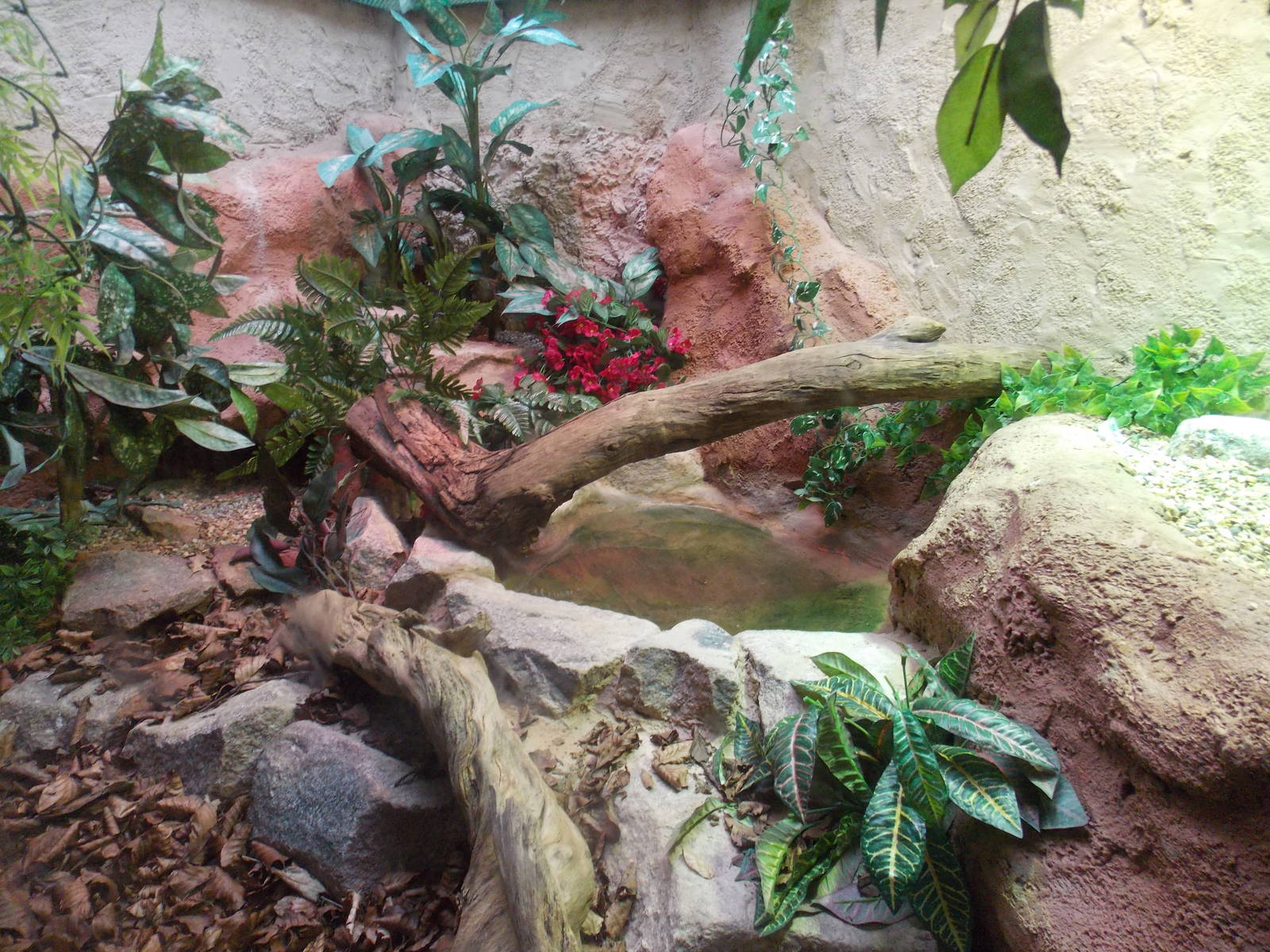 Reptile House exhibit