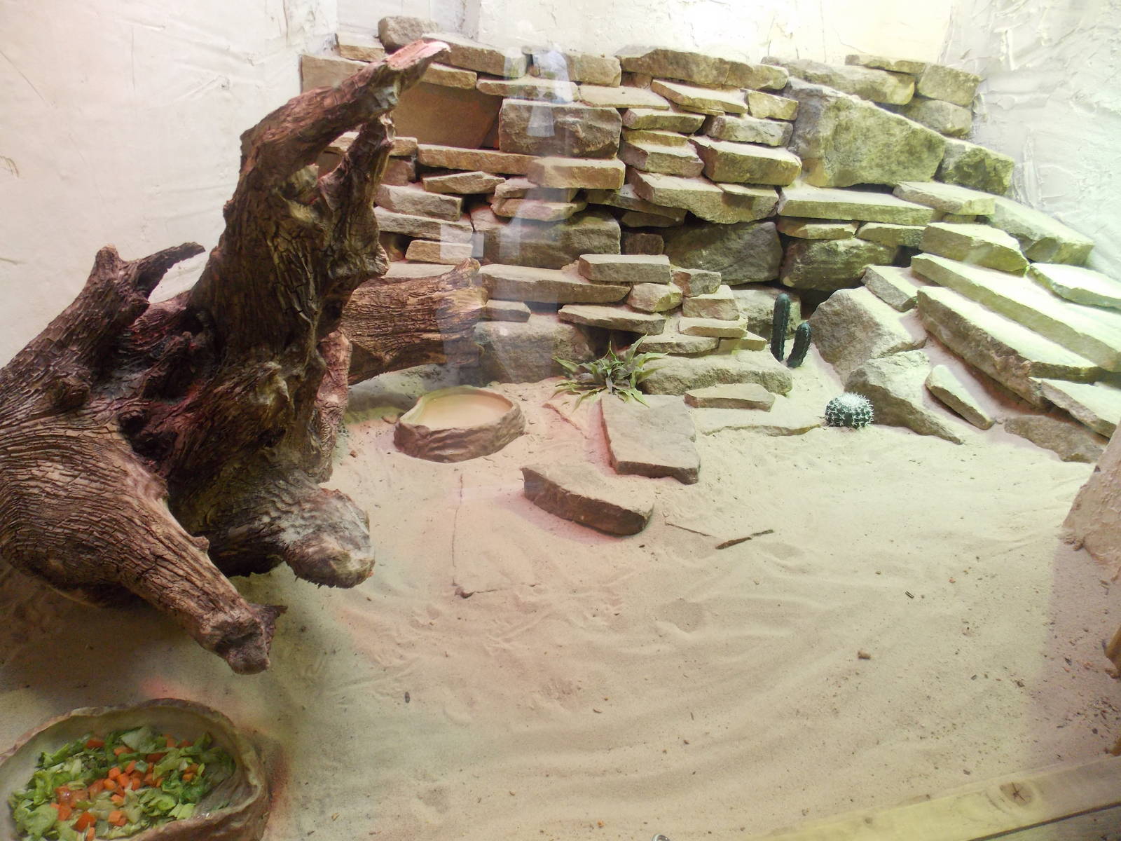 Reptile House exhibit