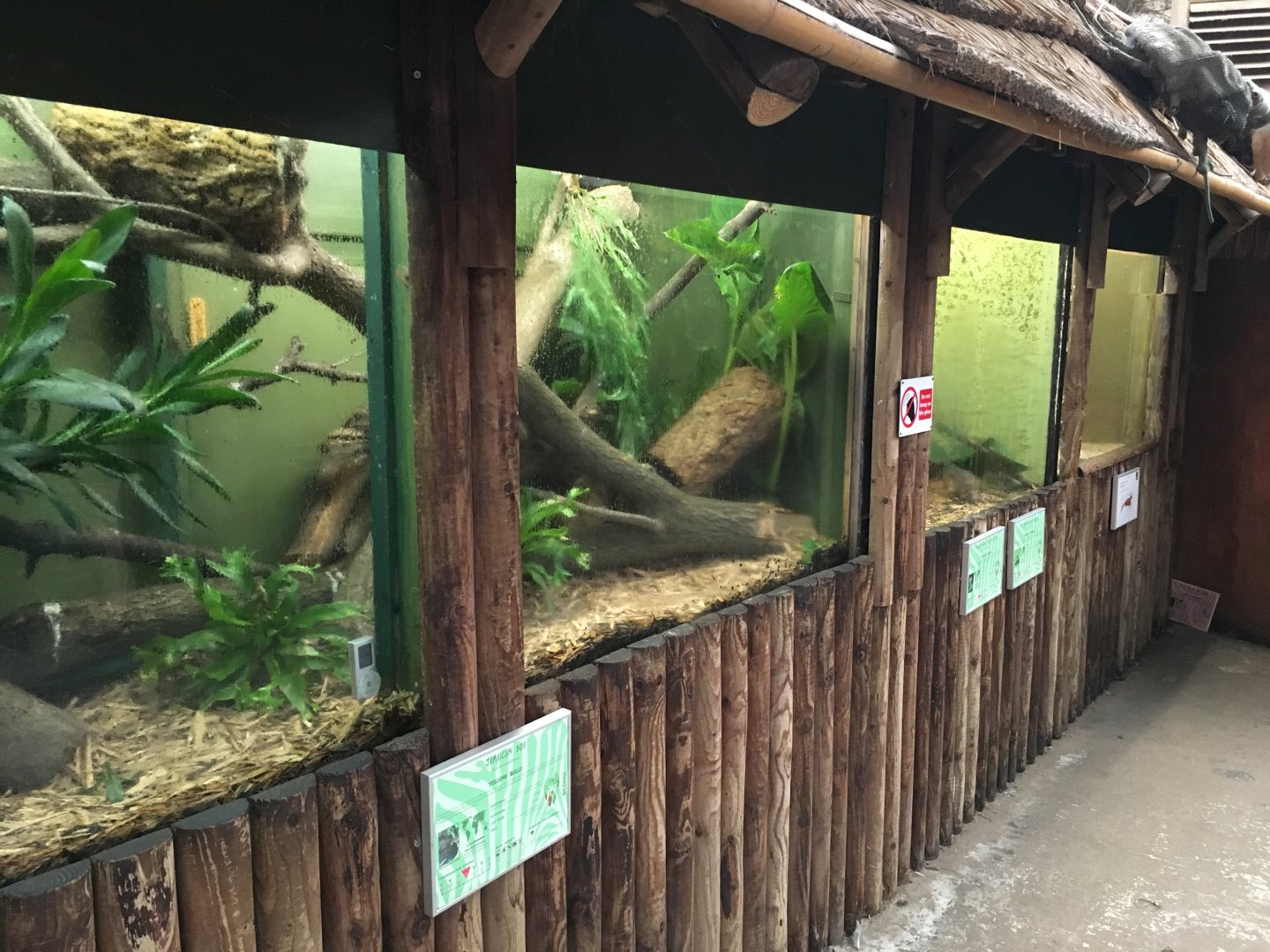 Reptile House exhibits 040817