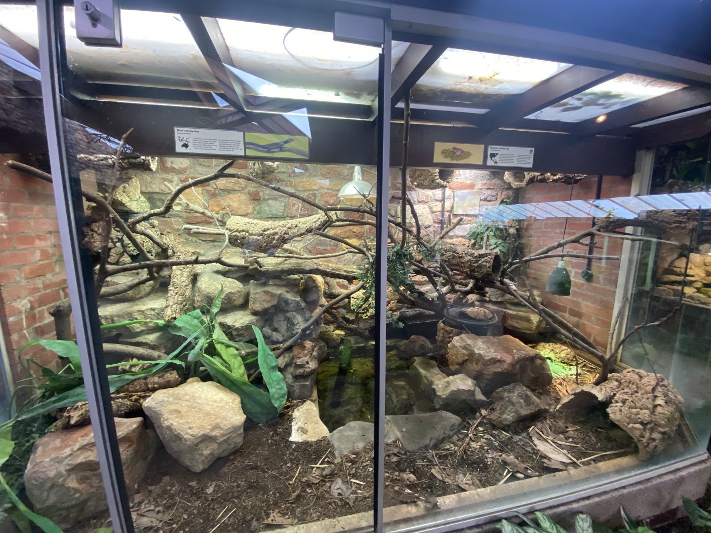 Reptile House exhibits 190622