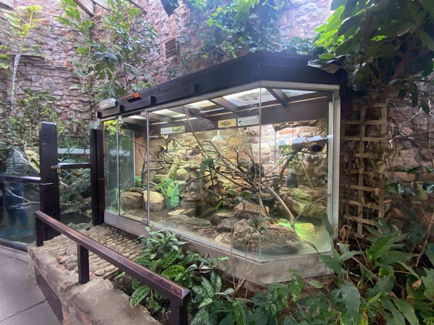 Reptile House exhibits 190622
