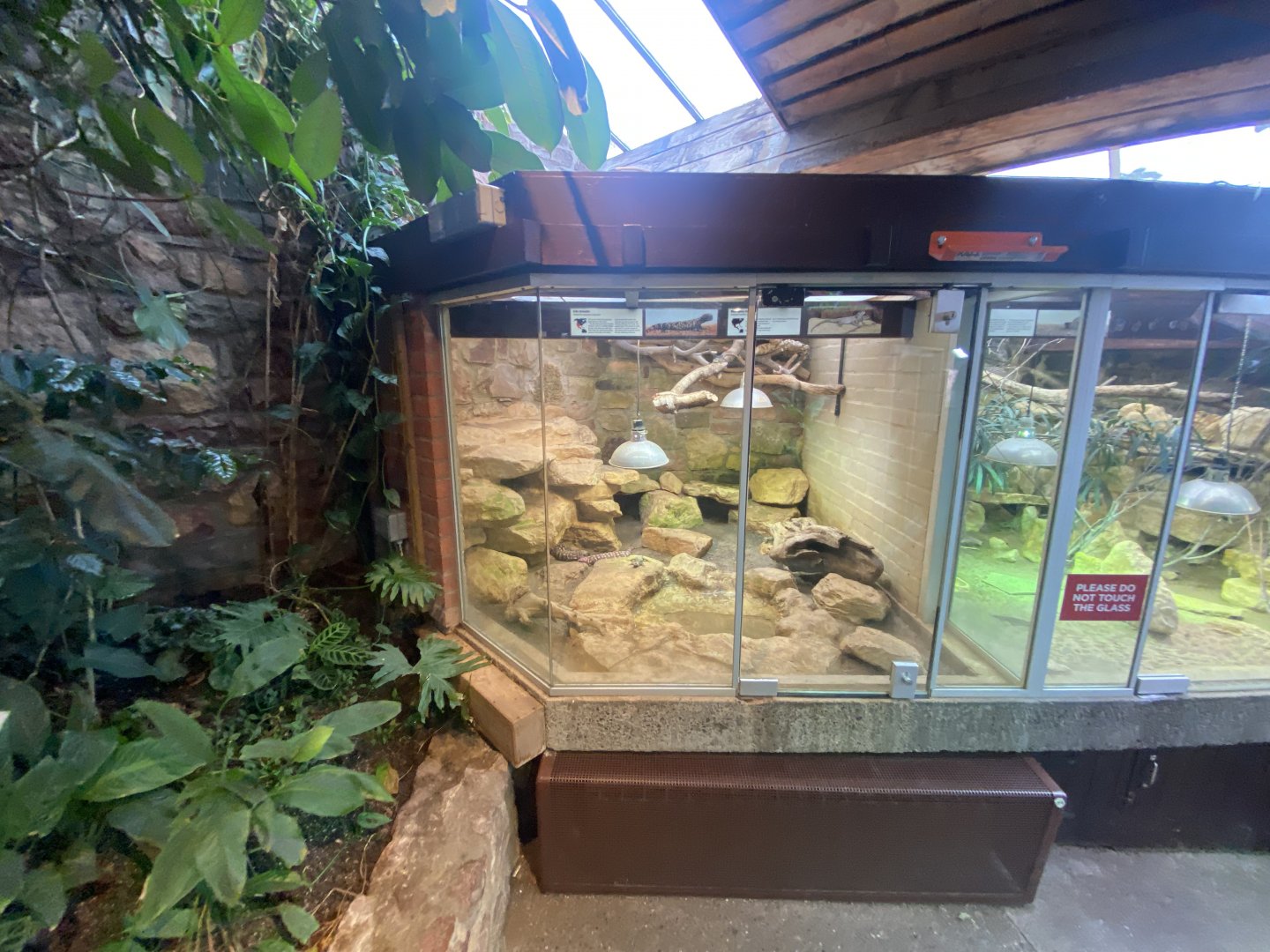 Reptile House exhibits 190622