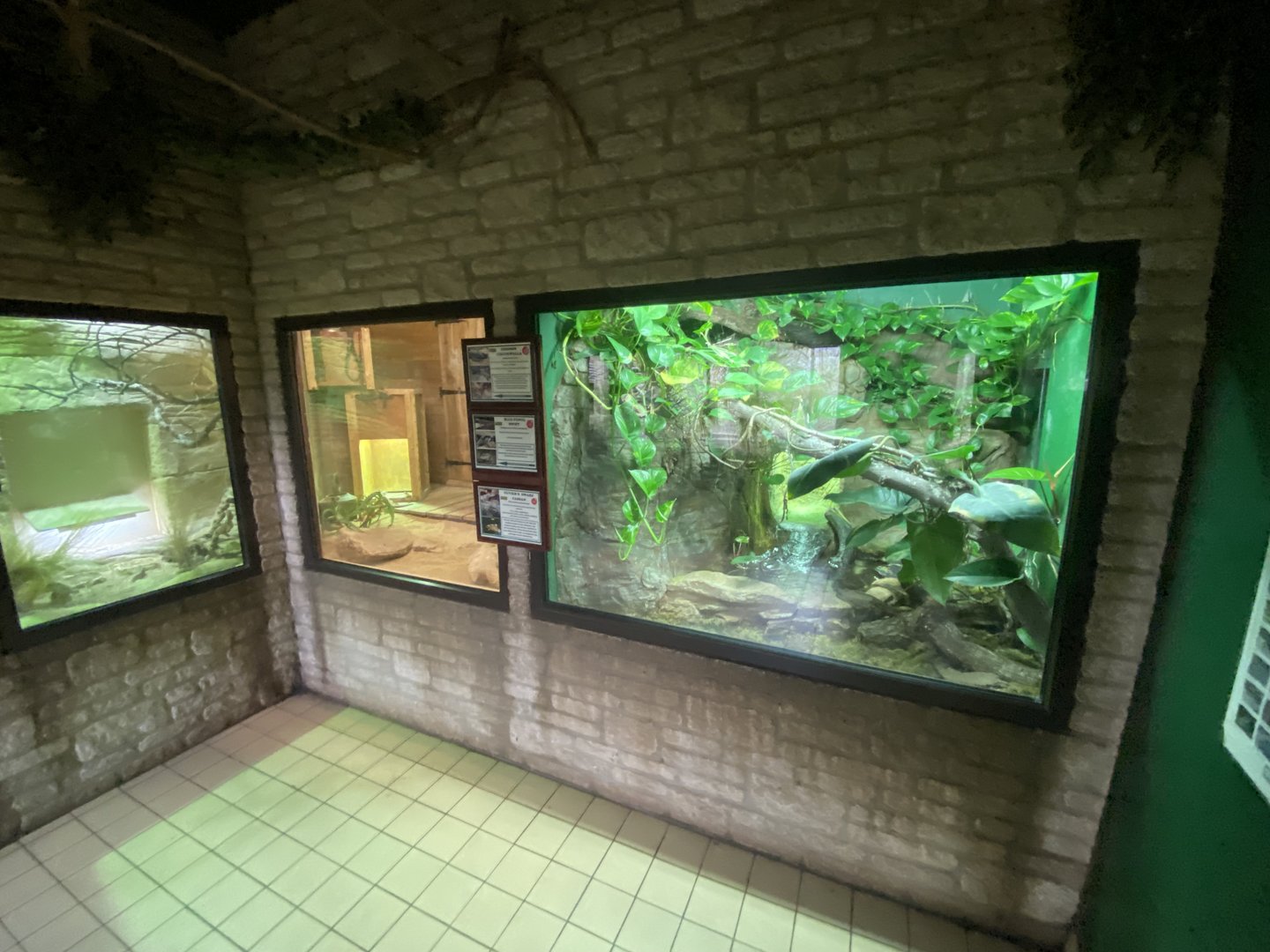 Reptile House exhibits 280423