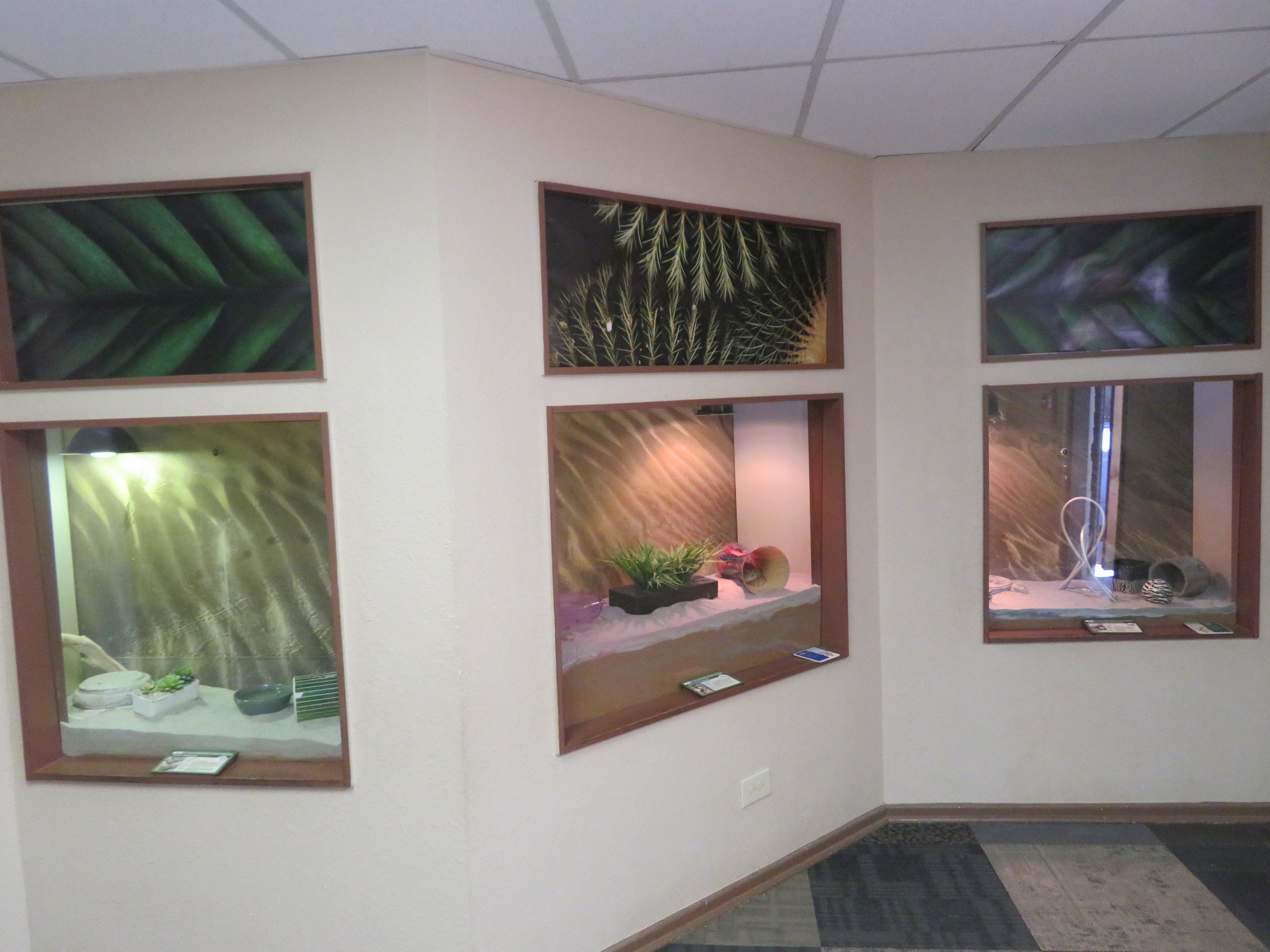 Reptile House (Exit Room)
