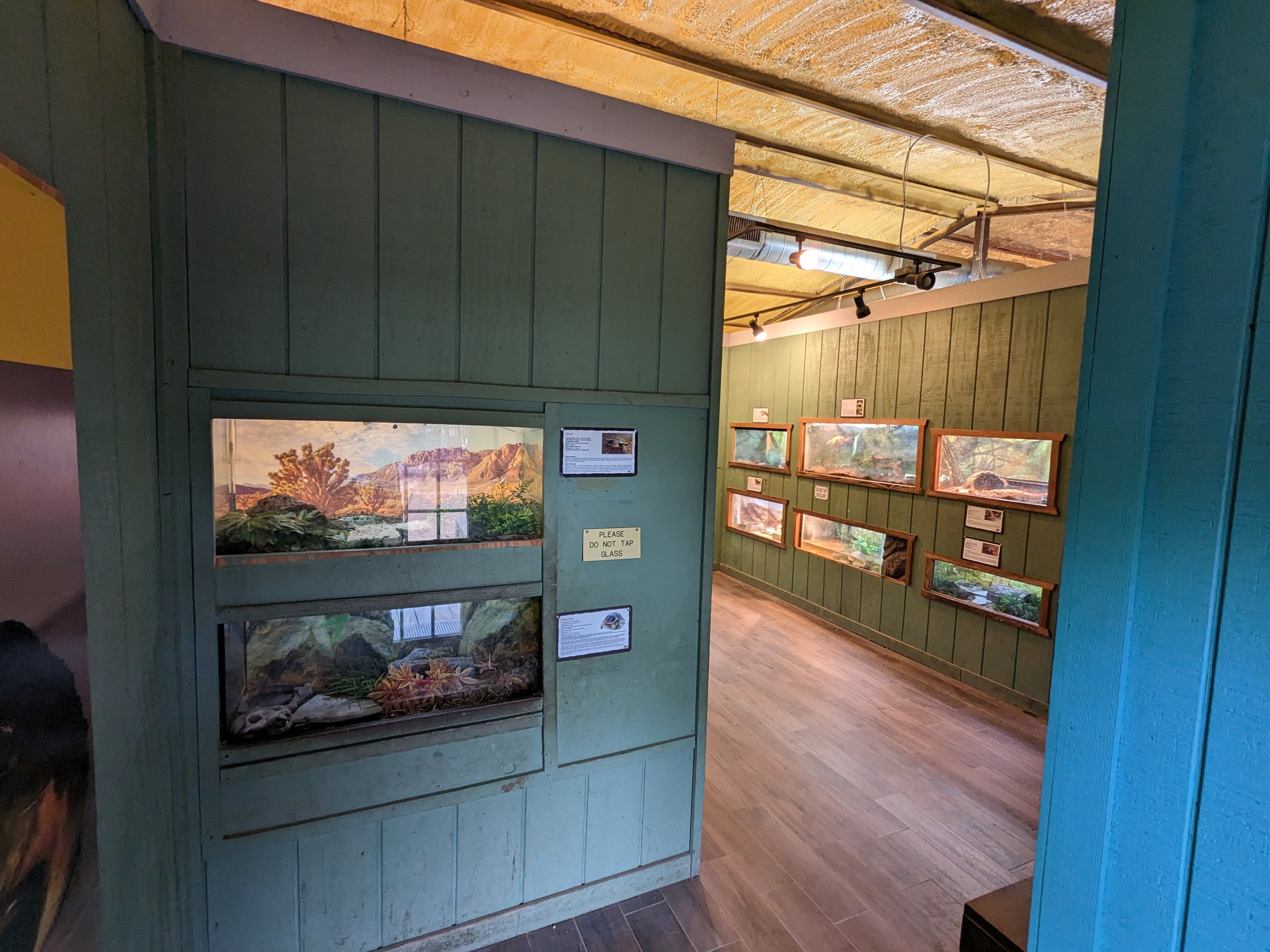 Reptile house from door.