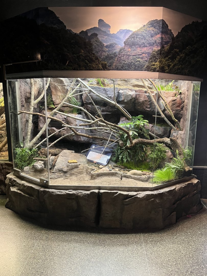 Reptile House future exhibit