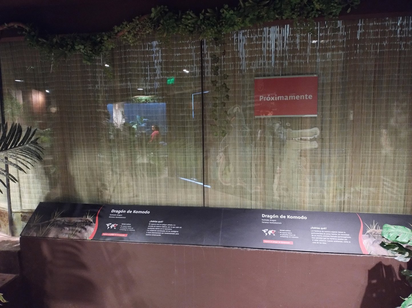 Reptile house future komodo dragon exhibit - Santiago zoo (Zoologico nacional)