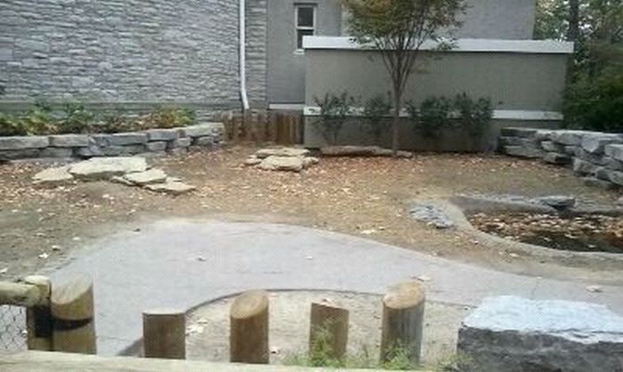 Reptile House-Galapagos Tortoise exhibit