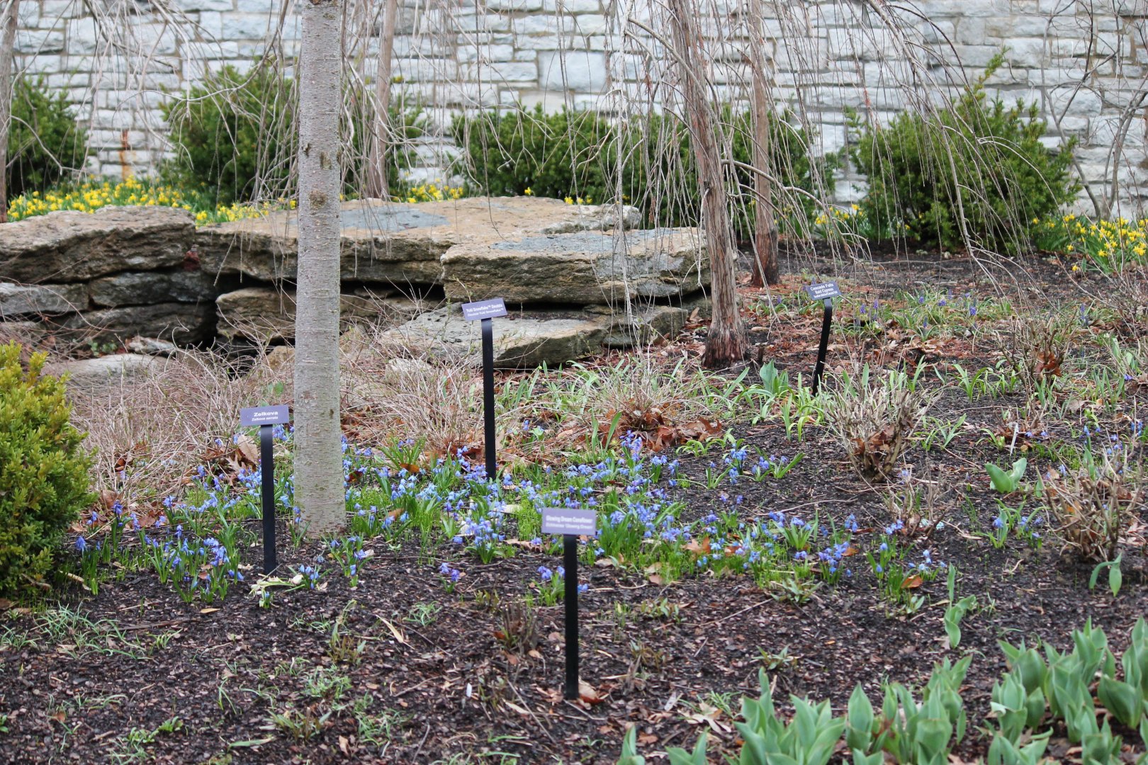 Reptile House Garden