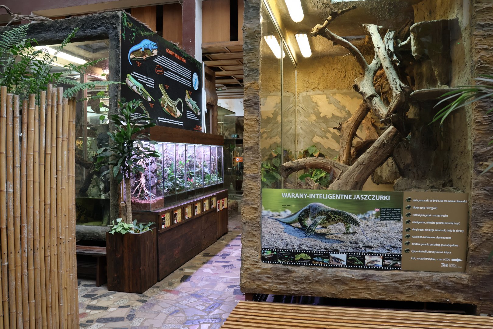 Reptile House - Gecko section