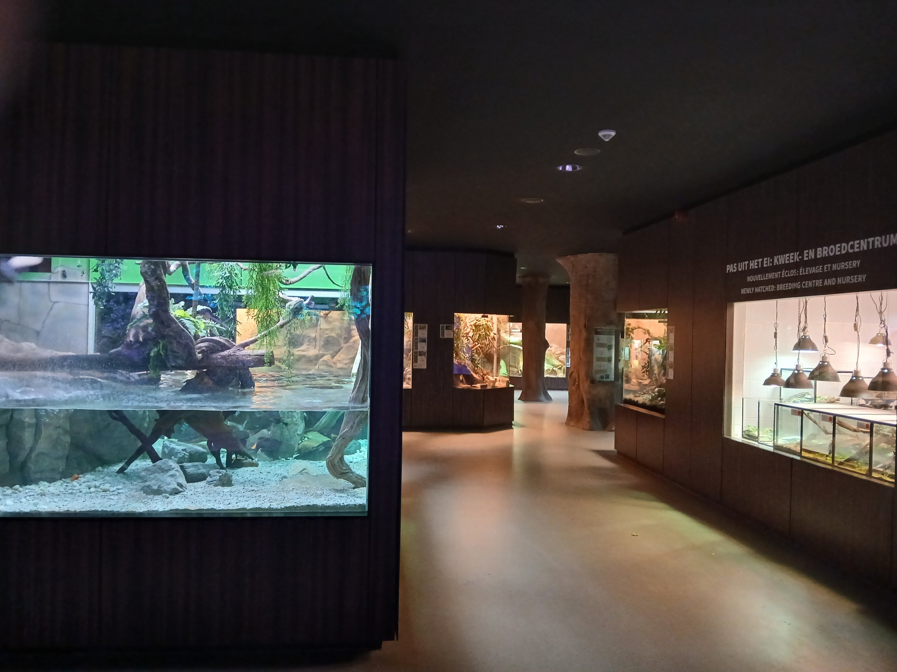 Reptile House general view (30th September 2025)