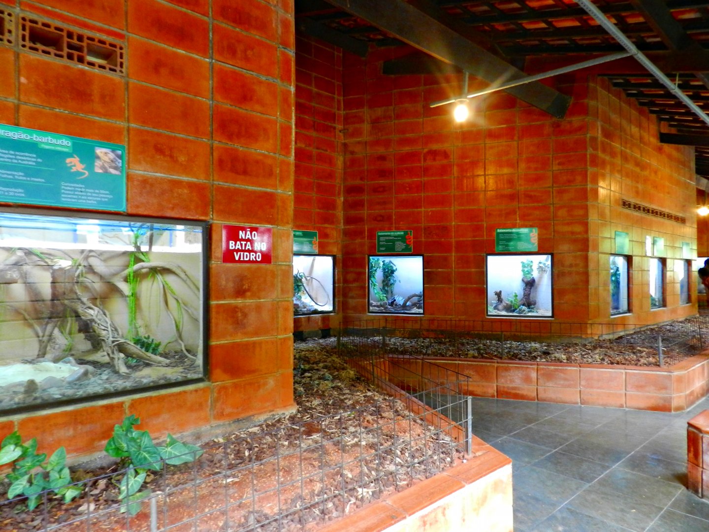 Reptile house general view - Sorocaba zoo (PZMQB)