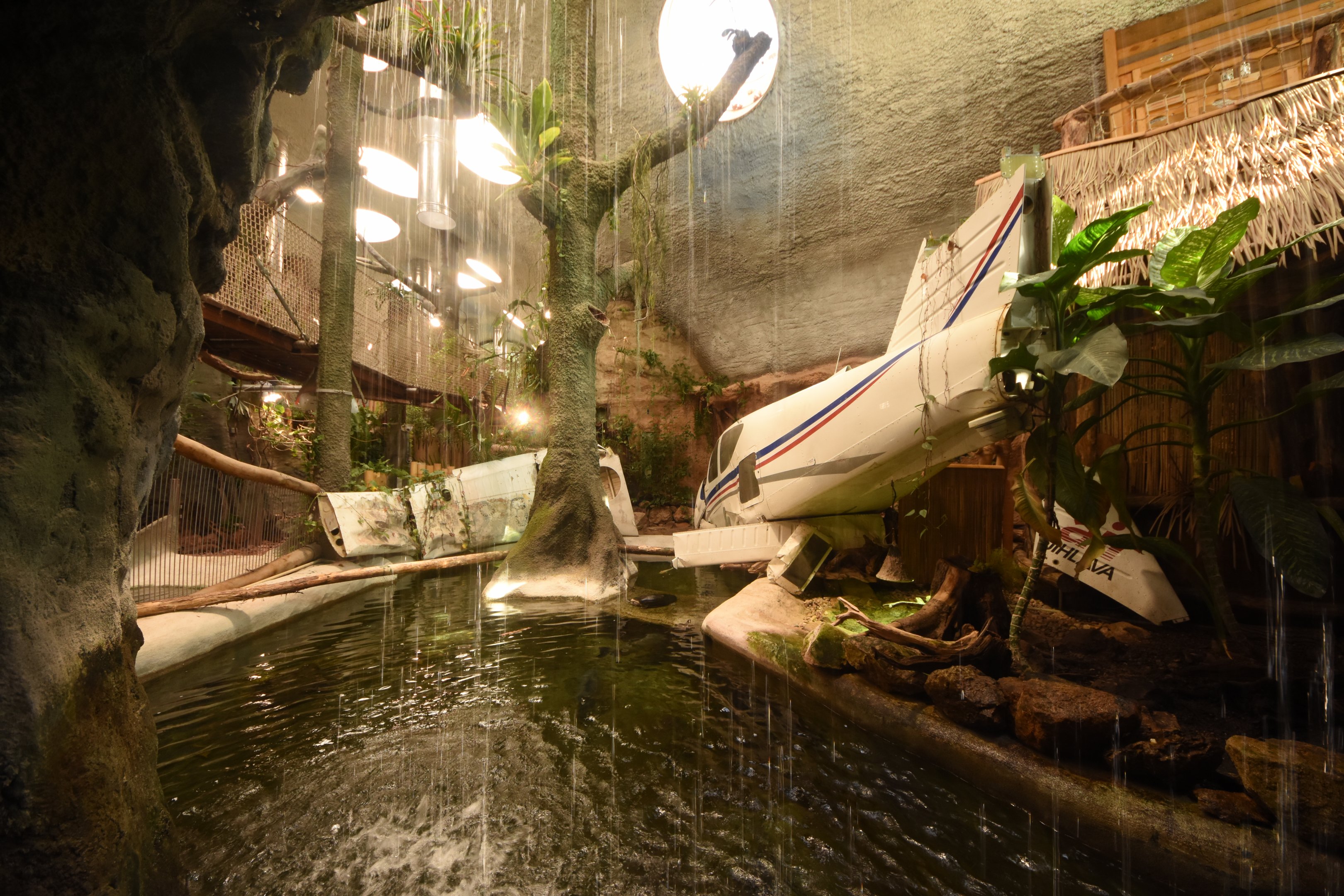 Reptile house - general view