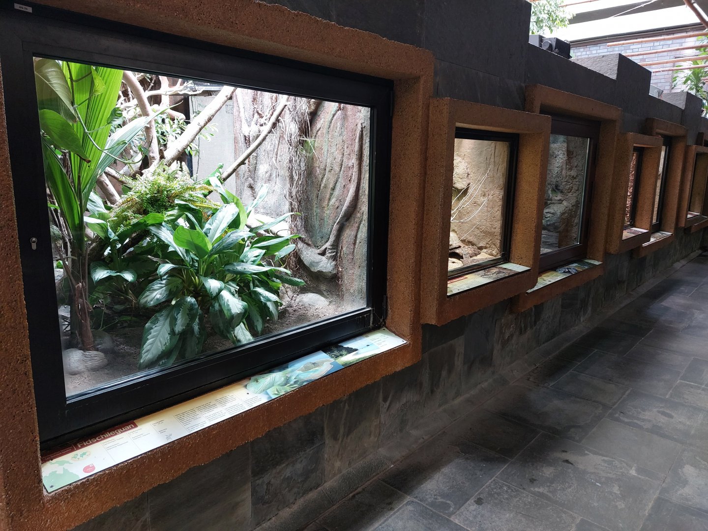 Reptile house general view