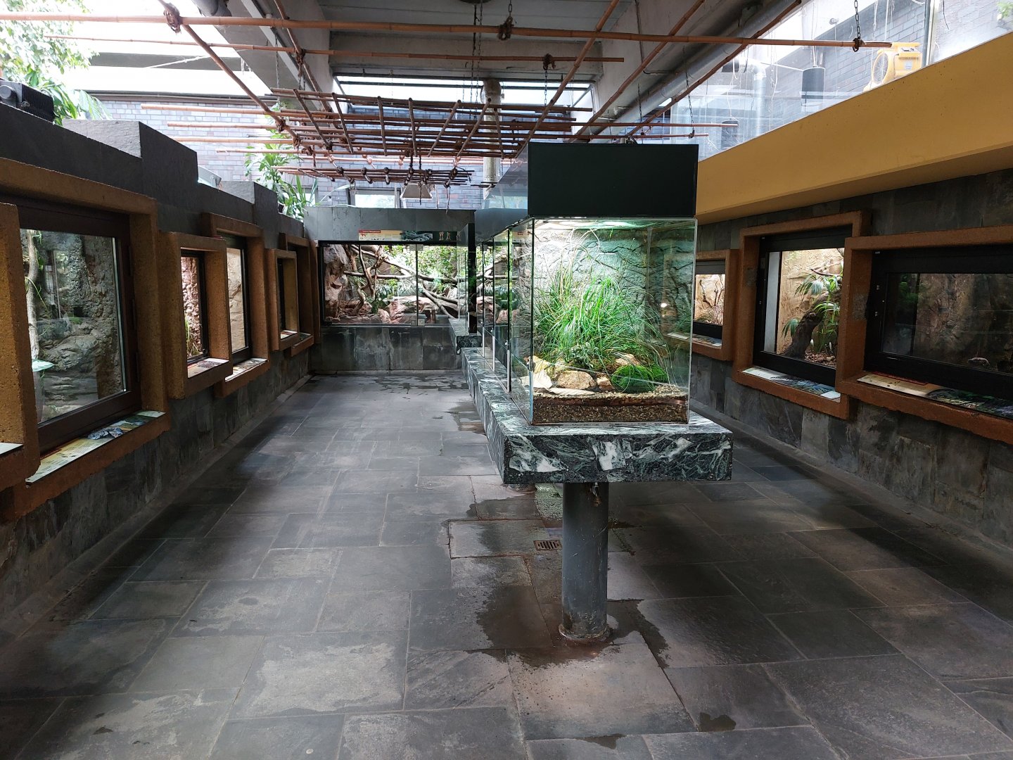 Reptile house general view