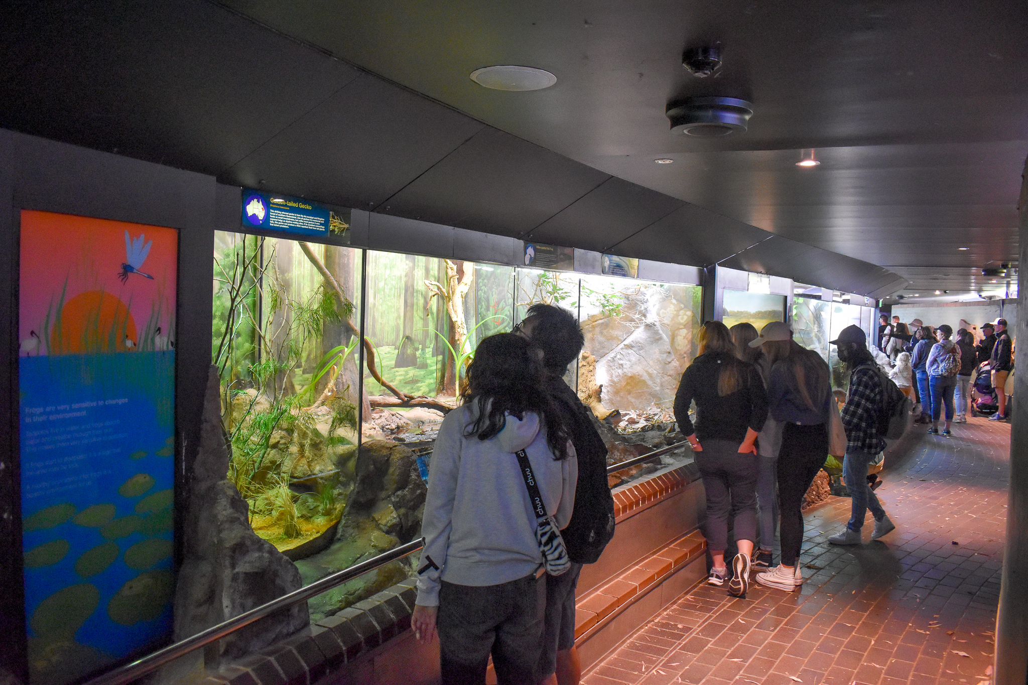 Reptile House - General View
