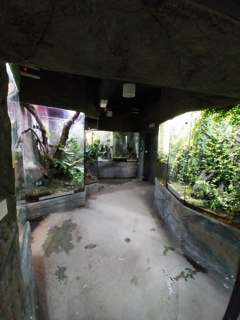 Reptile House - General view